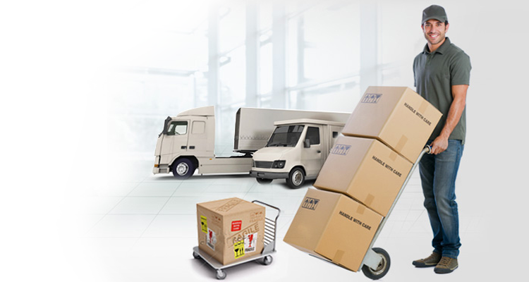 Rufous Relocation Packers & Movers Pvt. Ltd.